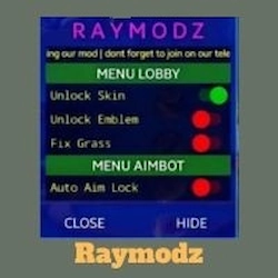 RayModz icon
